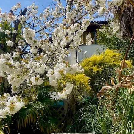 Sunny With Large Balcony By Mihaela * Poreč