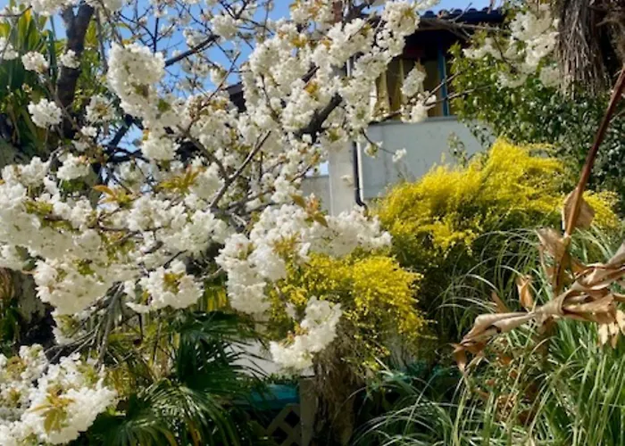 Sunny With Large Balcony By Mihaela * Poreč